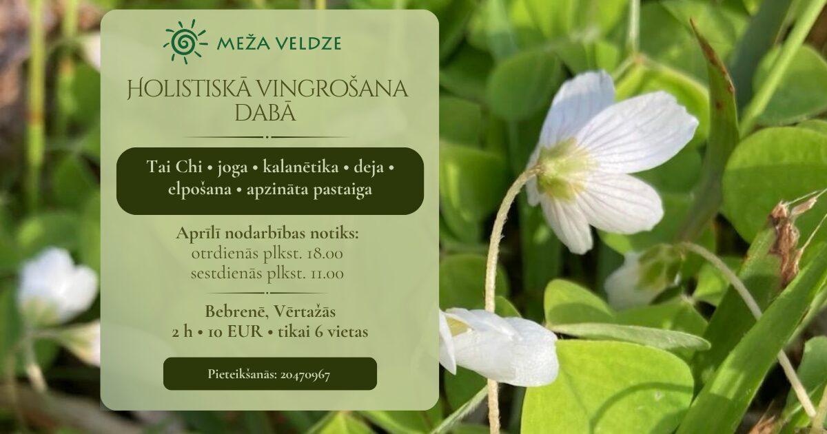 holistikas_vingr_daba.jpg
