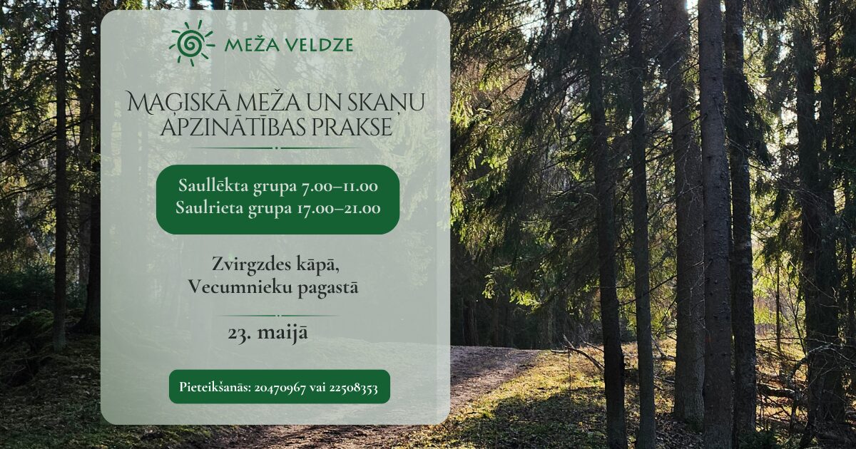 meza_skanu_prakse_maijs.jpg